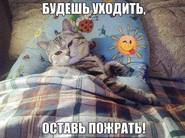    - 2  2016  13:12