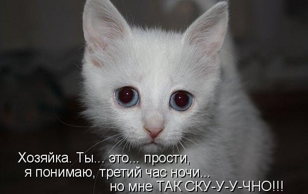����� ������� - 5 ������� 2015 � 09:03