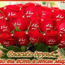 ���� �����, ��������, 59 ��� - ��������� 3 ����� 2016 � ������ ������ ��������