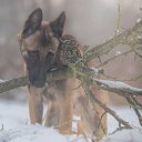 ���� Milolika, ������� - ��������� 15 ������ 2015 � ������ ������ ��������