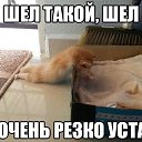 ���� ������, ������, 46 ��� - ��������� 27 ������� 2015 � ������ ���� ����������