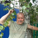 ���� ��������, ������, 62 ���� - ��������� 26 ������ 2016 � ������ ���� ����������