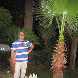 ������, ������, 58 ���