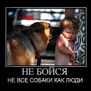 ���� �������, �����, 45 ��� - ��������� 6 ������ 2016 � ������ ������ ��������