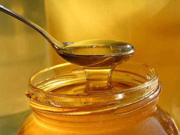 Рецепт настойки на алоэ с мёдом