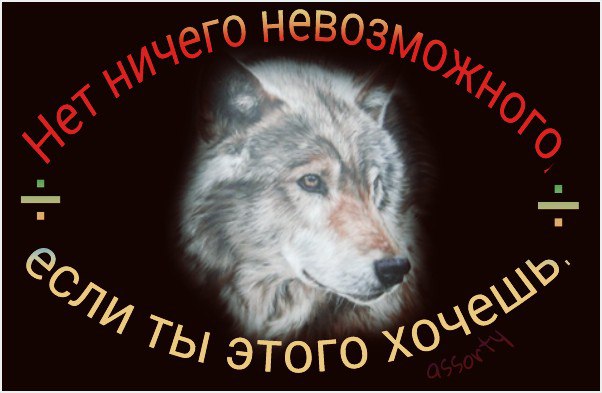   - 5  2016  11:06