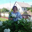  , , 55  -  10  2015     .