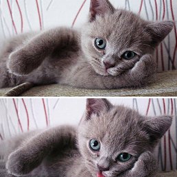 ���� ������, �����-���������, 73 ���� - ��������� 12 ������� 2016