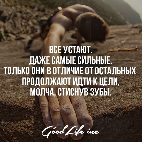 Good Life Inc - 2  2016  15:38
