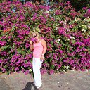 ���� �������, ������� - ��������� 20 ������� 2015 � ������ ���� ����������