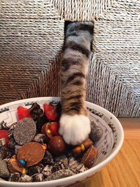 :).#@bon.appetit - 7