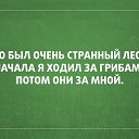 ���� ������, �����-���������, 44 ���� - ��������� 6 ������� 2015 � ������ ������ ��������