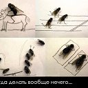  , , 47  -  1  2015    