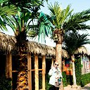 ���� �������, �����������, 55 ��� - ��������� 31 ������� 2015 � ������ ���� ����������