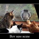 ���� ���, ������ - ��������� 29 ������� 2016