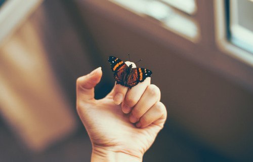 Не обращай ни на кого внимания, делай, как считаешь правильным. Франц Кафка