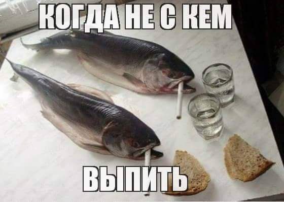   - 18  2015  20:55