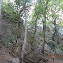 ���� ����, ������� - ��������� 28 ������� 2015 � ������ �����