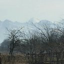 ���� ���������, ����, 33 ���� - ��������� 5 ����� 2016 � ������ ������ ��������