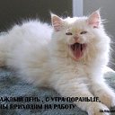 ���� ��������, ������, 53 ���� - ��������� 5 ������ 2016 � ������ ���� ����������