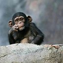 ���� ������, ������, 40 ��� - ��������� 25 ������� 2016 � ������ ���� ����������