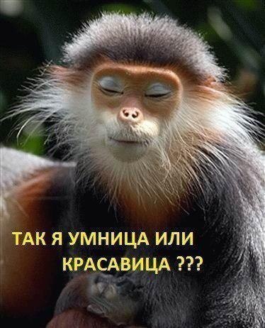 - Сара, я не могу на тебе жениться! - Почему? - Говорят, что у тебя уже было много мужчин. - Тебе ...