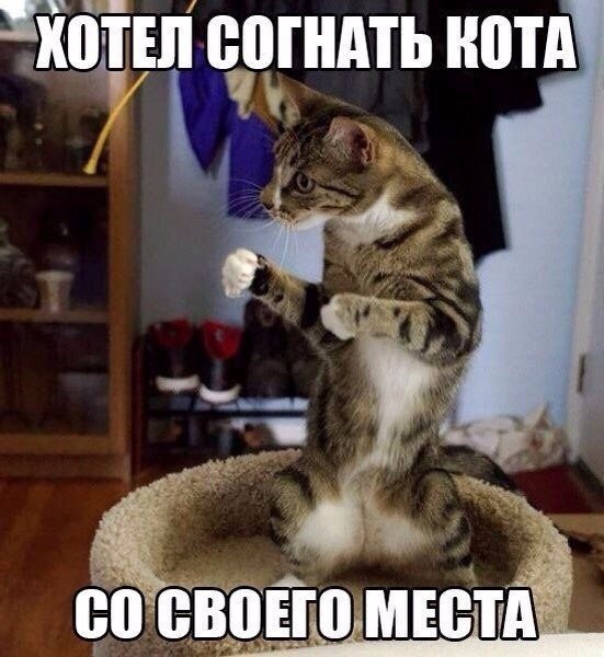    :-) - 3  2015  22:03