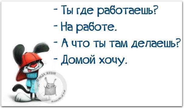   - 8  2015  15:21