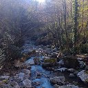  , , 51  -  1  2016   ,  