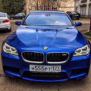 ���� ��������, ���������, 44 ���� - ��������� 20 ������ 2016 � ������ ������ ��������