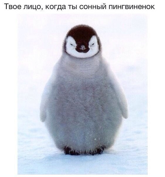  !