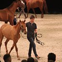 ���� ������, �����-���������, 70 ��� - ��������� 4 ������� 2015 � ������ ��� ������ �������� � �����-����������