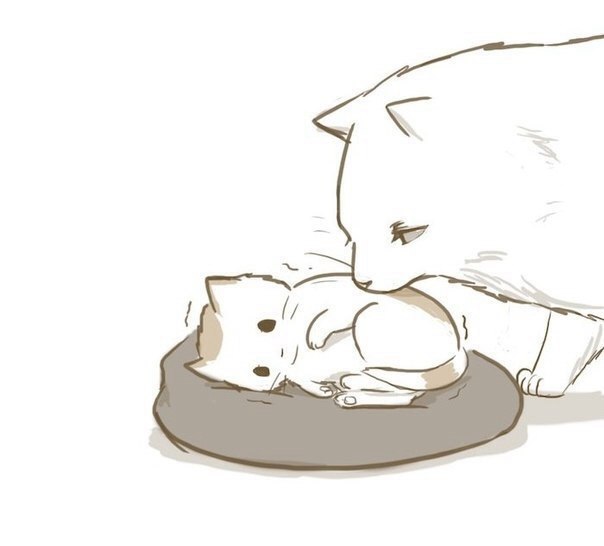       - 8  2016  08:33 - 5