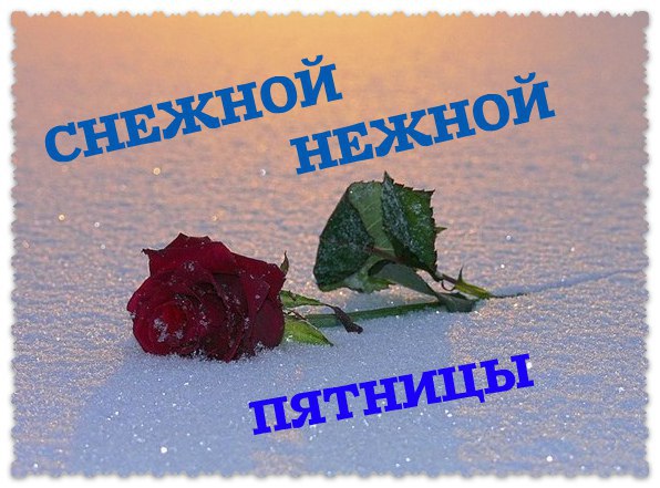  - 12  2016  06:14