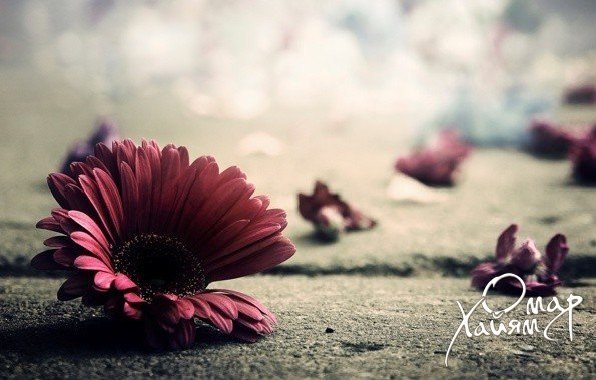 ���� ��������� �������, ����� ��� ��������, ��� ����� ��������, ��� �������� �����: 