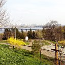  Ruvlad, , 58  -  18  2016   
