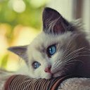  , -, 49  -  30  2015    