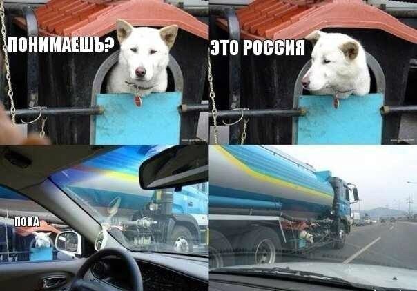 -  - 10  2016  12:01