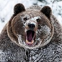 ���� ����, ������, 64 ���� - ��������� 5 ����� 2016 � ������ ������ ��������