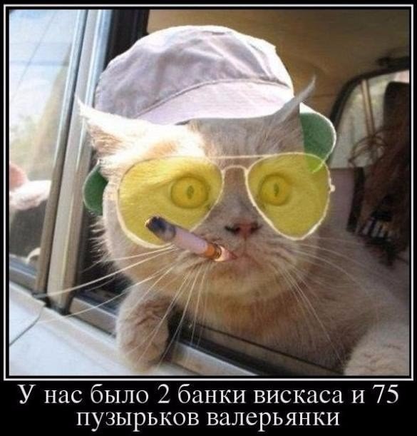   | , ,  - 2  2015  18:03
