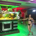  Svetlana, , 59  -  18  2015    2015 