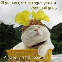 ���� �����, ������ - ��������� 3 ������� 2016 � ������ ���������