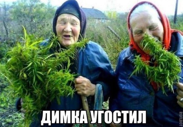   - 6  2016  15:51