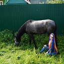 ���� ���, �����, 29 ��� - ��������� 17 ������ 2015 � ������ �������