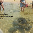 ���� Arturodessa, �������, 70 ��� - ��������� 10 ����� 2016
