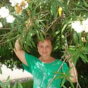 ���� �����, ������, 50 ��� - ��������� 18 ������� 2016 � ������ ���� ����������