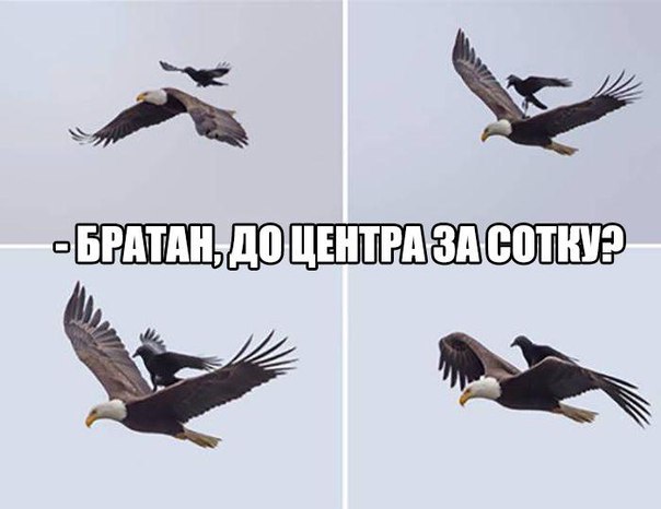 -  - 22  2016  18:04