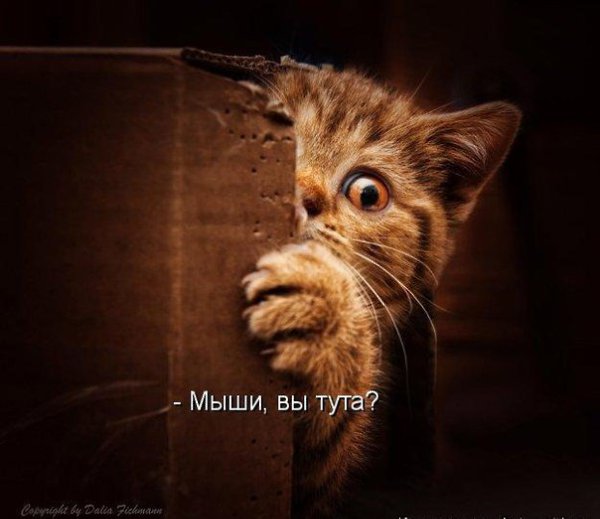       - 18  2015  19:30