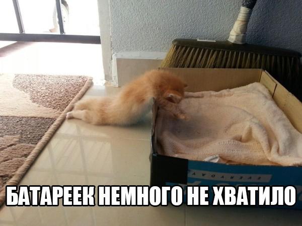    :-) - 31  2015  23:41