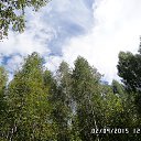 ���� ��������, �����, 48 ��� - ��������� 26 �������� 2015 � ������ ���� ����������